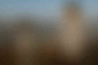 Herzliche Babybauchbilder in Nienhagen am Strand. Fotograf für Schwangere an der Ostsee in MV. 