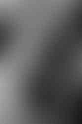 Standesamtliche Trauung Stralsund : Braut schaut verliebt ihren Mann an