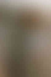 Schwanger an der Ostsee: Einzigartige Erinnerungen durch einen Fotograf in Warnemünde. Buche hier dein gefühlvolles Babybauchshooting in Warnemünde. 