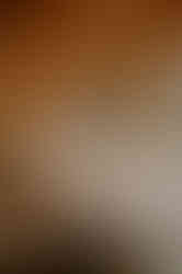 Hochzeitsfotograf Gut Landsdorf – Heiraten nahe Grimmen – Hochzeitslocation bei Stralsund – Location zum Heiraten bei Rostock – Kornspeicher Gut Landsdorf – Brautpaarshooting beim Gutshaus – Fotograf für freie Trauung MV – Heiraten in Mecklenburg Vorpommern