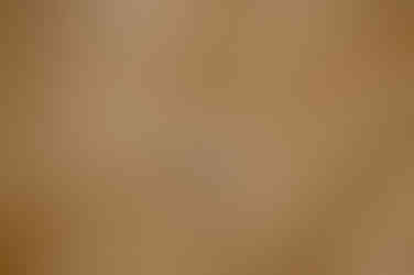 Kronleuchter im Rathaus Stralsund. Standesamtliche Hochzeit. 