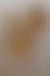 Fotograf Heringsdorf - Familienshooting Bansin - Fotoshooting Usedom - Familienfotos Ostsee - Fotograf Zinnowitz - Babyshooting Zempin - Babyfotograf Peenemünde - Kindershooting Ahlbeck - Ostseeurlaub Usedom - Kaiserbäder - Familienshooting Ostsee