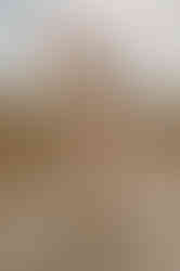 Familienfotograf Ostsee – Familienbilder Fischland Darss – Fotoshooting Prerow – Strandshooting Zingst - Babyfotograf Graal Müritz – Familienfotos Rövershagen – Fotograf Neugeborene Barth – Familienfotografie Ribnitz-Damgarten