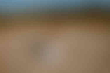 After-Wedding-Shooting in Wustrow: Inniger Kuss eines Paares vor der Ostsee.