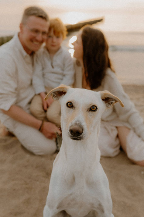 Familienfotograf auf Usedom: Familie verbringt mit ihrem Hund gemeinsame Zeit am Strand in Peenemünde.