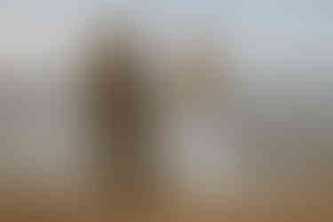 Brautpaar steht am Strand in Zingst, schaut sich liebevoll an. Fotoshooting nach der Hochzeit an der Ostsee.