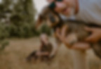 Monique Krüger Fotografie / Familienfotografin & Hochzeitsfotografin aus MV 