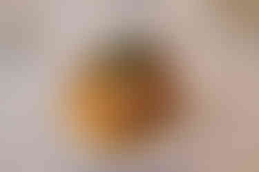 Hochzeitsfotograf Gut Landsdorf – Heiraten nahe Grimmen – Hochzeitslocation bei Stralsund – Location zum Heiraten bei Rostock – Kornspeicher Gut Landsdorf – Brautpaarshooting beim Gutshaus – Fotograf für freie Trauung MV – Heiraten in Mecklenburg Vorpommern 