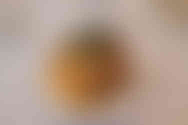 Hochzeitsfotograf Gut Landsdorf – Heiraten nahe Grimmen – Hochzeitslocation bei Stralsund – Location zum Heiraten bei Rostock – Kornspeicher Gut Landsdorf – Brautpaarshooting beim Gutshaus – Fotograf für freie Trauung MV – Heiraten in Mecklenburg Vorpommern