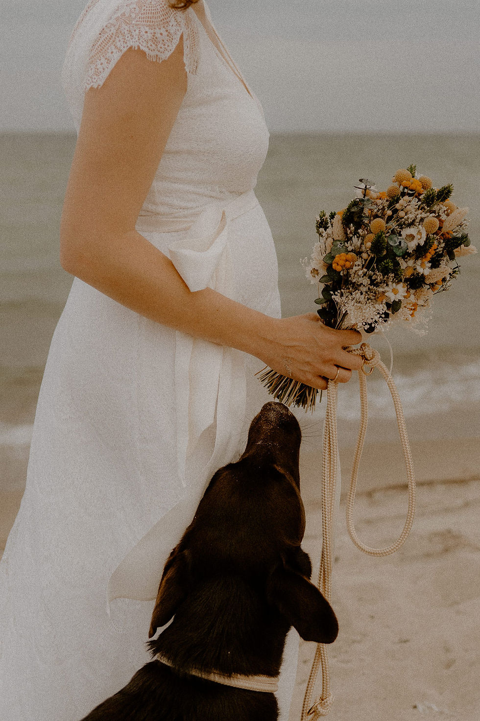 Hund schnüffelt neugierig bei der Braut am Strauß. Hochzeit mit Hund auf Insel Rügen- ich begleite eure Trauung mit Hund in Binz.