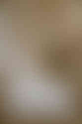 Scheunenhochzeit nahe Rostock – Hochzeitsfotograf für standesamtliche Trauung im Garten – Weddinglocation in Mecklenburg Vorpommern – gefühlvolle Hochzeitsfotografie an der Ostsee – Begleitung Hochzeit Gut Landsdorf – Heiraten unter freiem Himmel – Brautpaarshooting Gut Landsdorf – Hochzeitsfotografie bei Grimmen