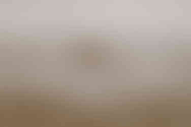 Pärchen läuft am Ostseestrand aufgelassen ins Meer. Authentische Fotos von Pärchen am Kap Arkona, Hafen Vitt und Strand Nordufer.