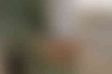 Goldener Sonnenuntergang in Kühlungsborn beim professionellen Babybauchshooting.