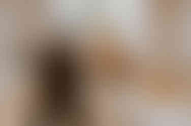 Freie Trauung im Herbst in Gut Groß Siemen. Hochzeitsfotograf begleitet Paar beim Anstoßen mit Sekt. 