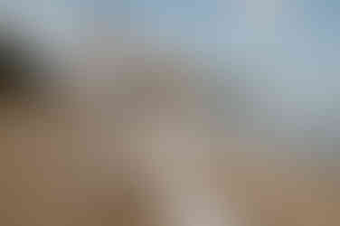 Brautpaarshooting an der Sundpromenade Stralsund. Pärchen tanzt am Wasser. Hochzeitsshooting im Sommer. 