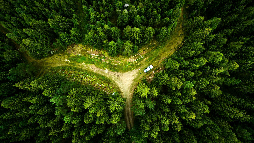 475054-drone-landscape-nature-aerial_view-forest (1).jpg