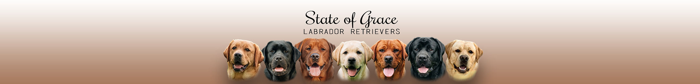WEBSITE HEADER2.jpg