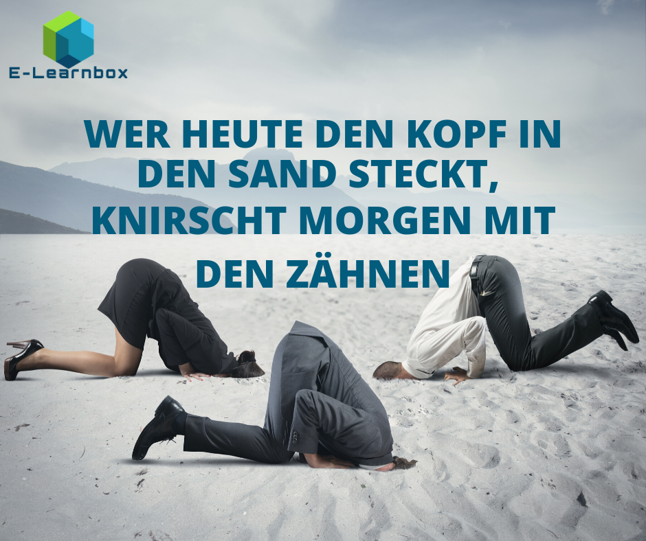 E-Learning, E-Learnbox: Wer heute den Kopf in den Sand steckt, knirscht morgen mit den Zähnen