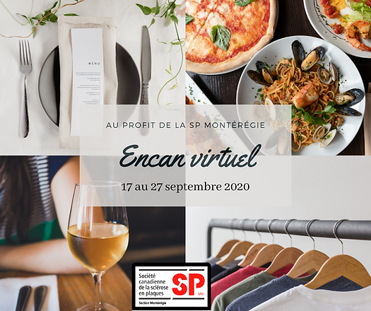 Encan virtuel (1).png