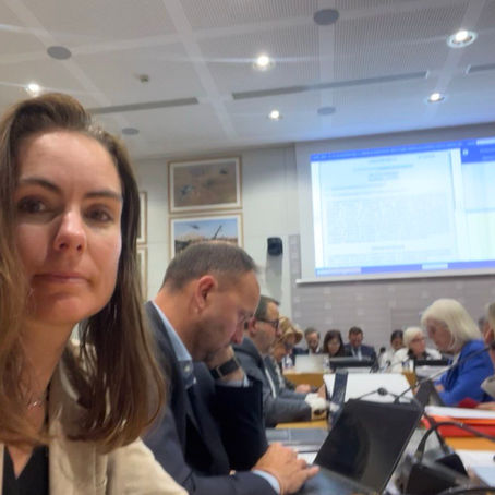 Je siège en commission de la Défense nationale et des Forces armées