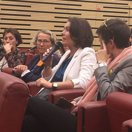 Intervention auprès de C. Castaner : la question des auteurs de violence