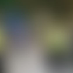 Visite de l'industrie Chazey-Bons Préfa