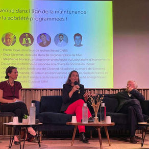 Table Ronde FEDENE sur la sobriété 