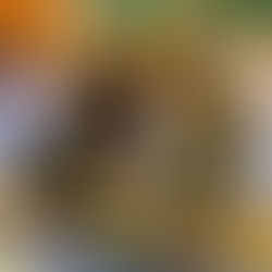 Journée dédiée à l'éducation