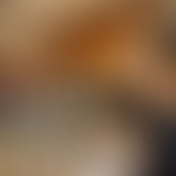 Réunion avec la CPTS à Prévessin