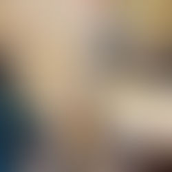 Chez SOS Animaux Pays de Gex : la lutte contre la souffrance animale est une exigence morale