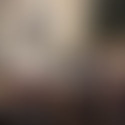 Comment sont votés les textes de loi ?