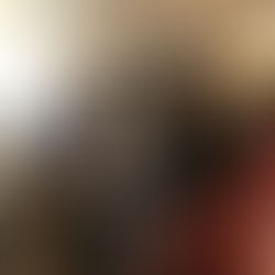 Visite du comité du Secours populaire de Bellegarde