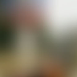 Cérémonie de commémoration du 11 novembre 2020