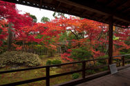 Daihoin autumn 2019-4.jpg