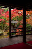 Daihoin autumn 2020-6.jpg