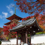 Sanmyō-in
三明院