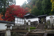 Chionin autumn 2021-14.jpg