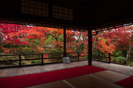 Daihoin autumn 2019-3.jpg