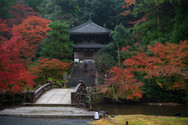 Chionin autumn 2021-8.jpg