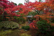 Daihoin autumn 2020-4.jpg