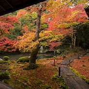 Rakuhoku Renge-ji
洛北蓮華寺