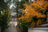 Chionin autumn 2021-30.jpg