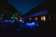 Shorenin lightup 2016-17.jpg