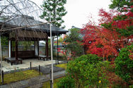 Daihoin autumn 2019-13.jpg
