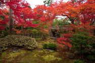 Daihoin autumn 2019-5.jpg