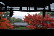 Chionin autumn 2021-19.jpg