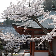 Kurama-dera
鞍馬寺