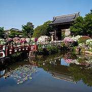 Myōman-ji
妙満寺