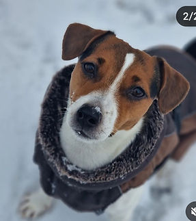 Luna Schnee_edited.jpg