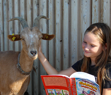 Tiere unterstützen Dich beim Lesen